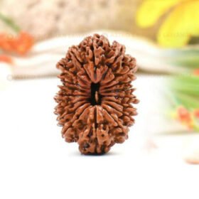 18 Mukhi Rudraksha (Atharah Mukhi)