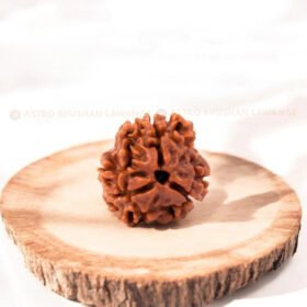 3 Mukhi Rudraksha (Teen Mukhi)