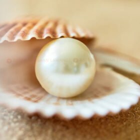 Pearl Gemstone for Moon