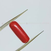 Red Coral Gemstone - Image 4