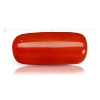 Red Coral Gemstone - Image 2