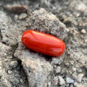 Red Coral Gemstone